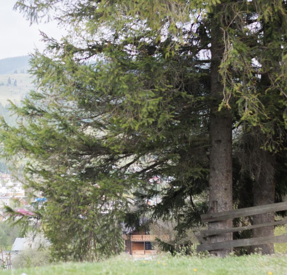 Karpatska Oselia Villa Verhovîna Exterior foto
